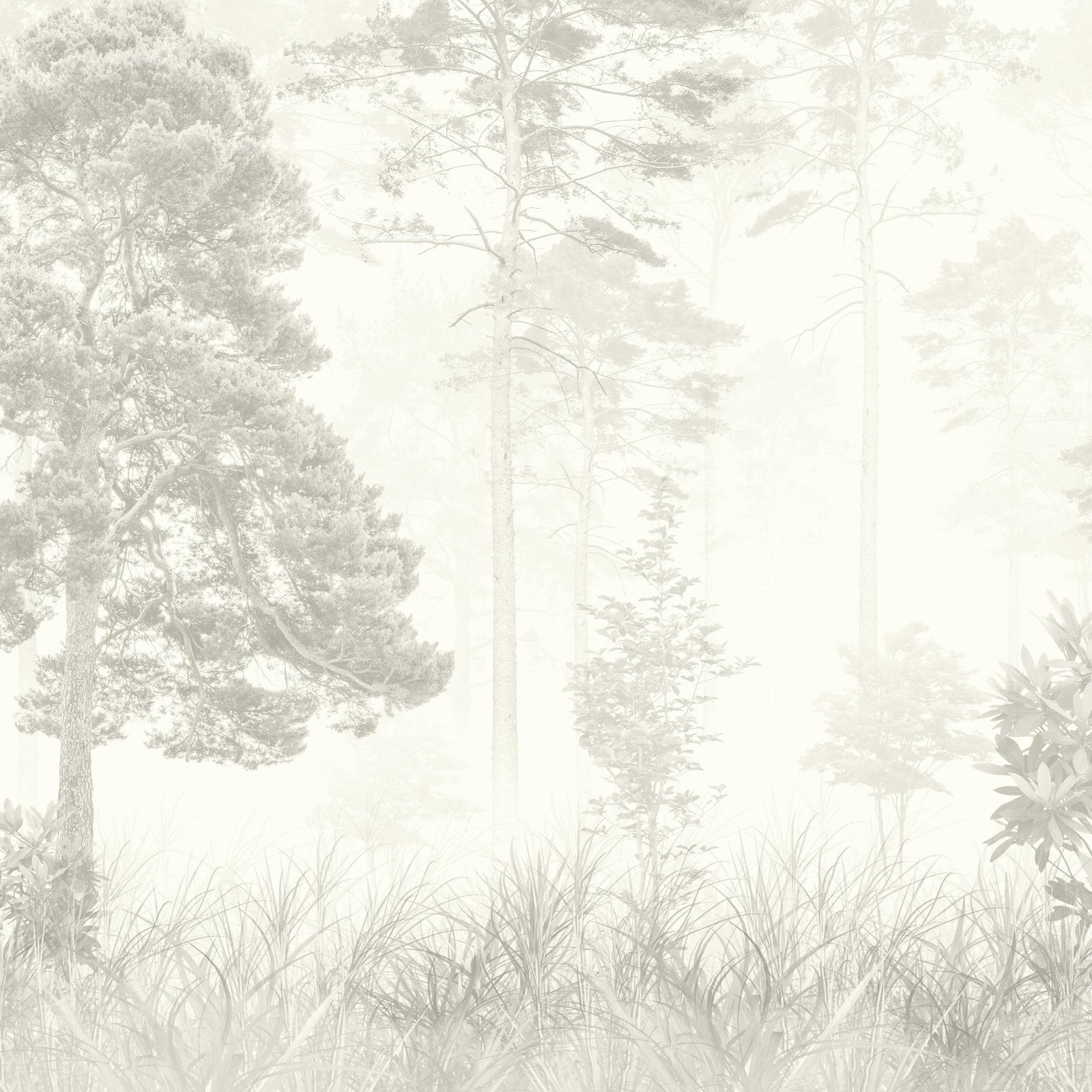 Alpine Mist Wallpaper